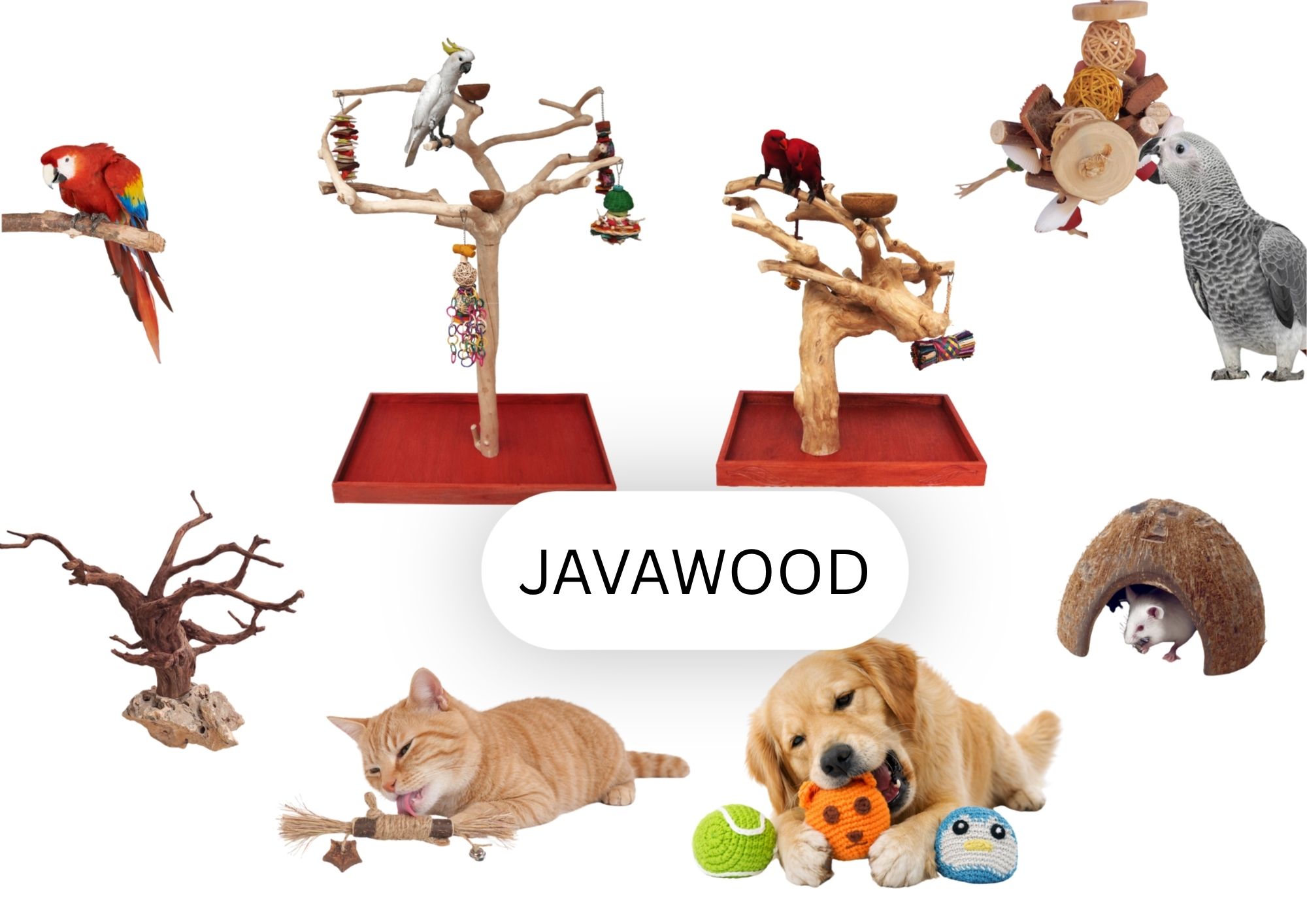 Natural wooden pet toys