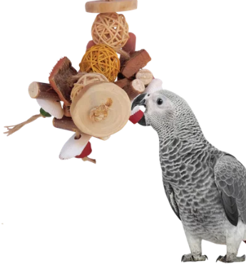 Coffeewood Bird Toy